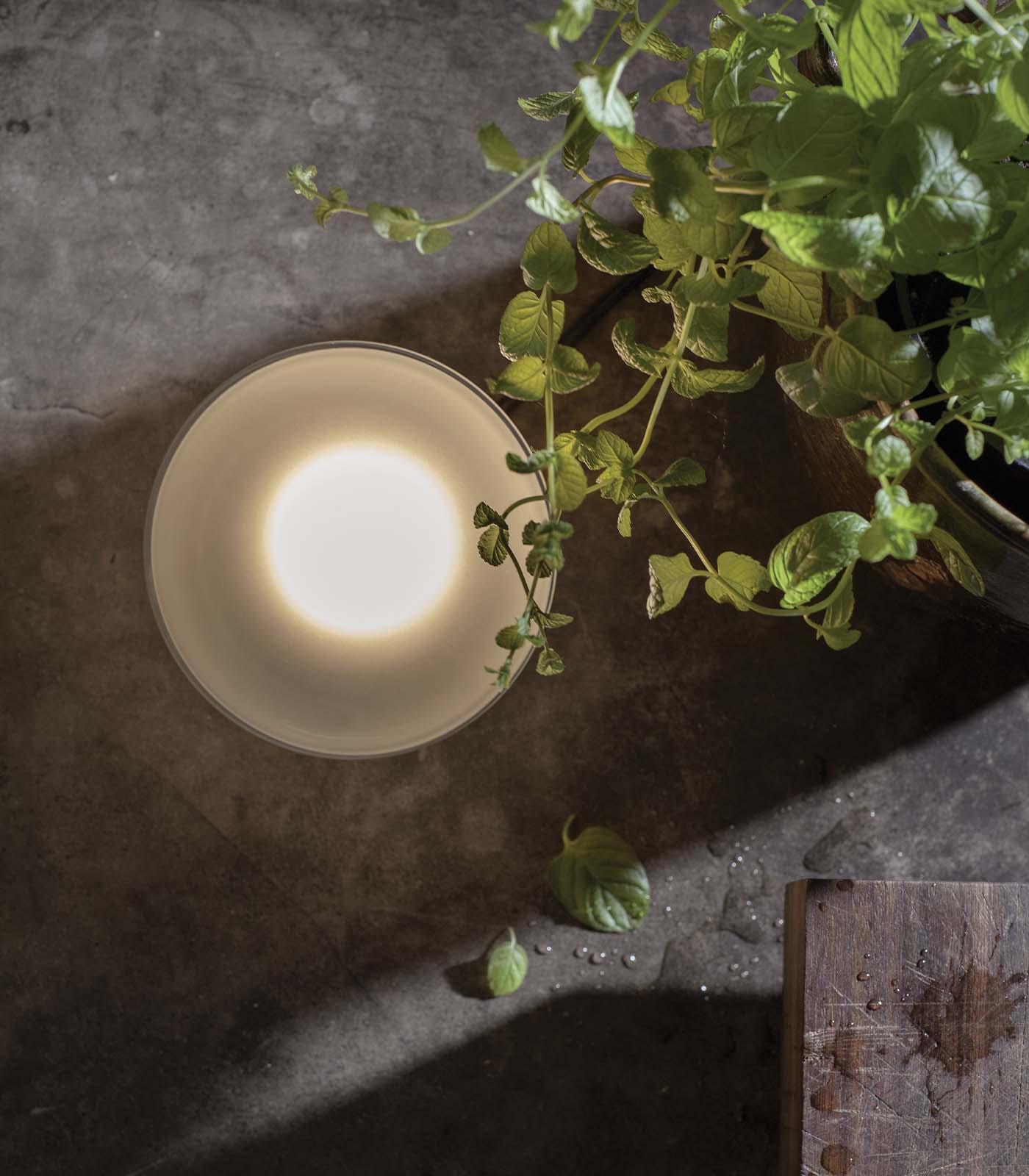 Agua Table Lamp - Image 3