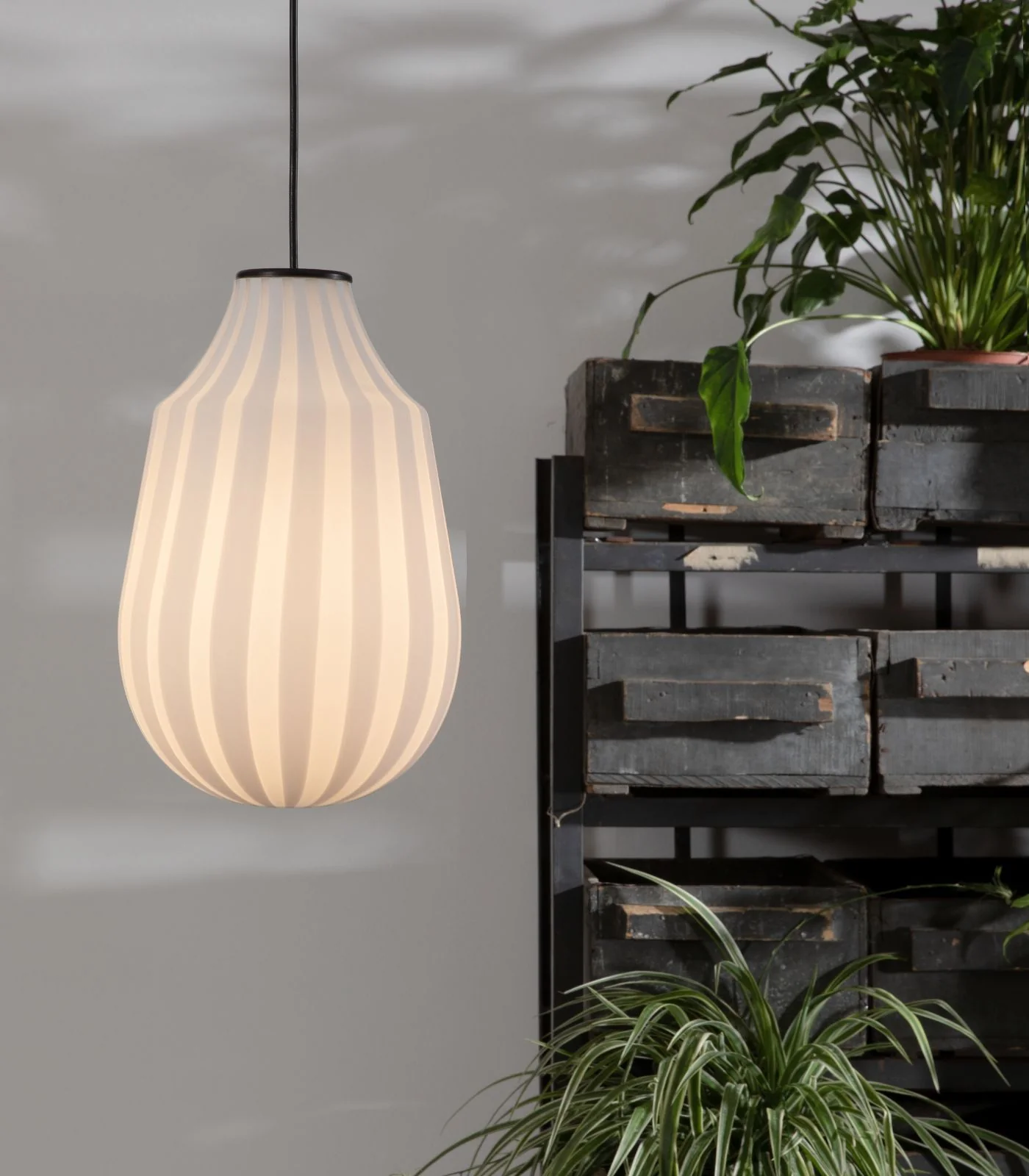 Circus Pendant Light - Image 3