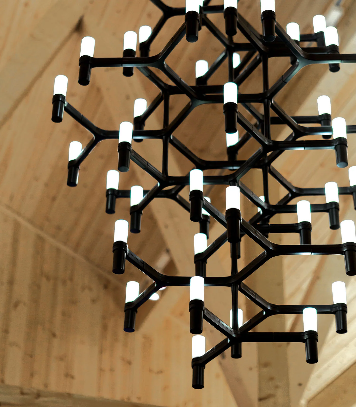 Crown Summa Pendant Light - Image 2