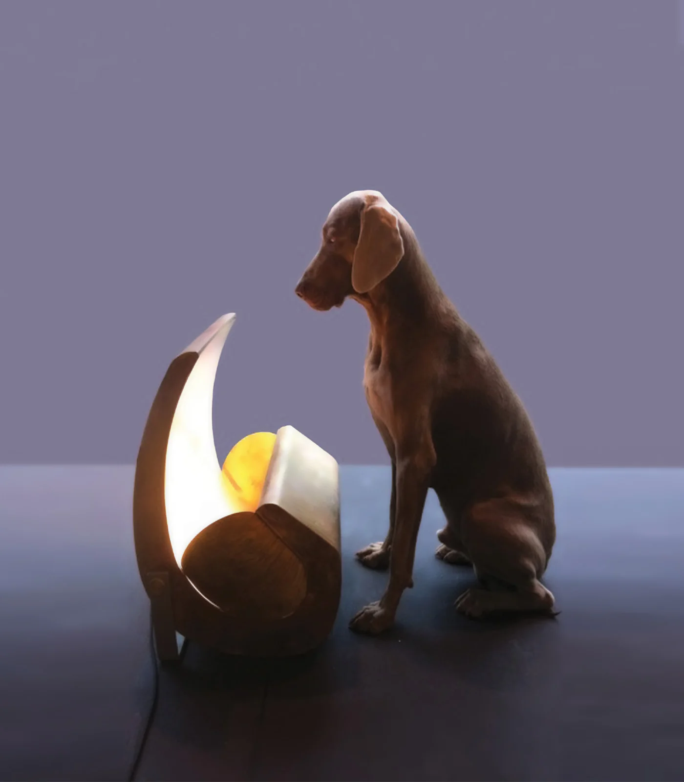 Escargot Floor Lamp - Image 7