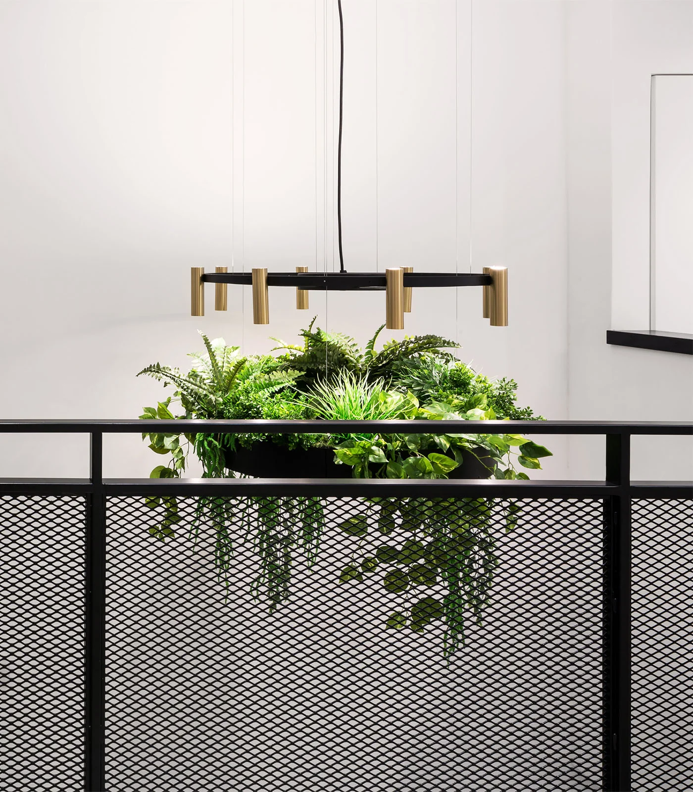 Laverd 16lt Chandelier - Image 3