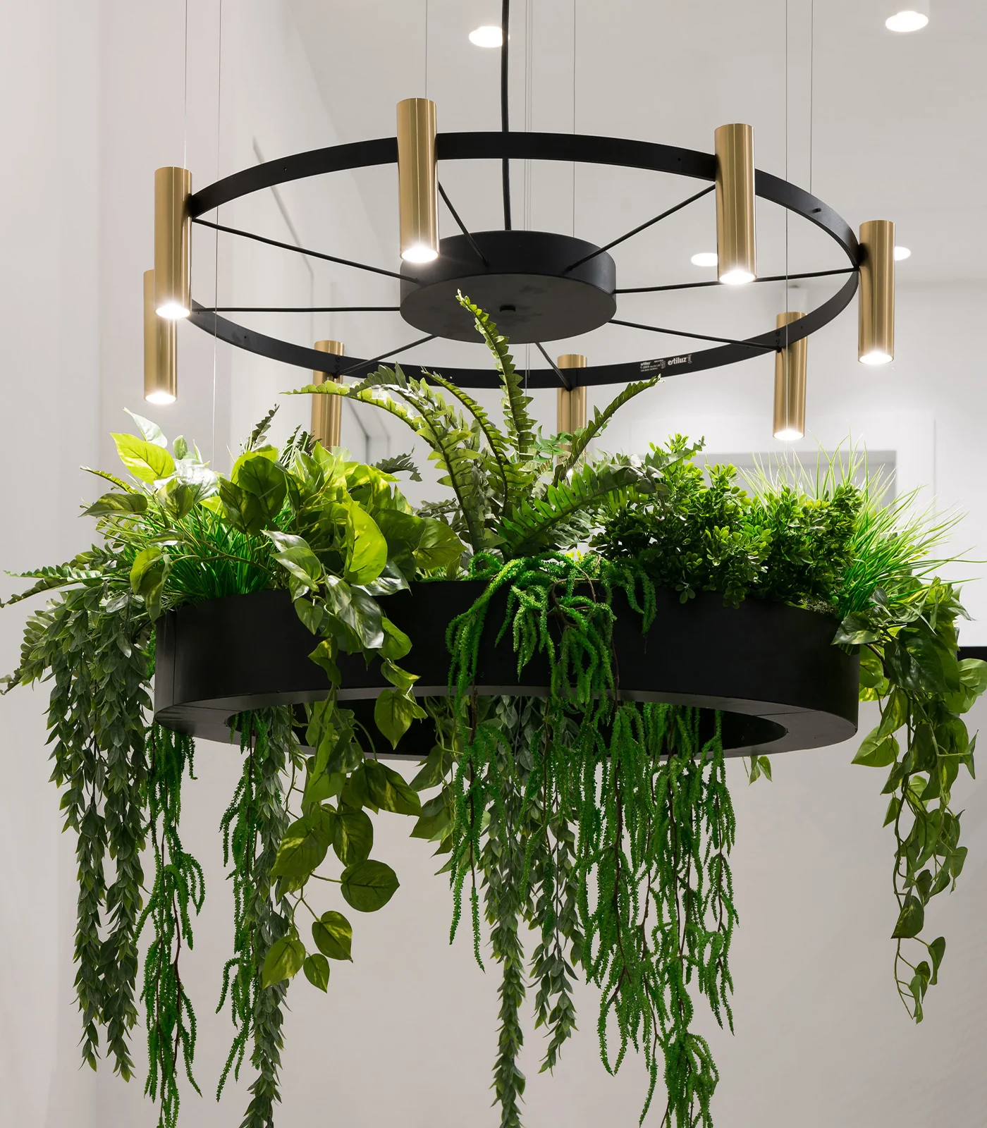Laverd 16lt Chandelier - Image 5