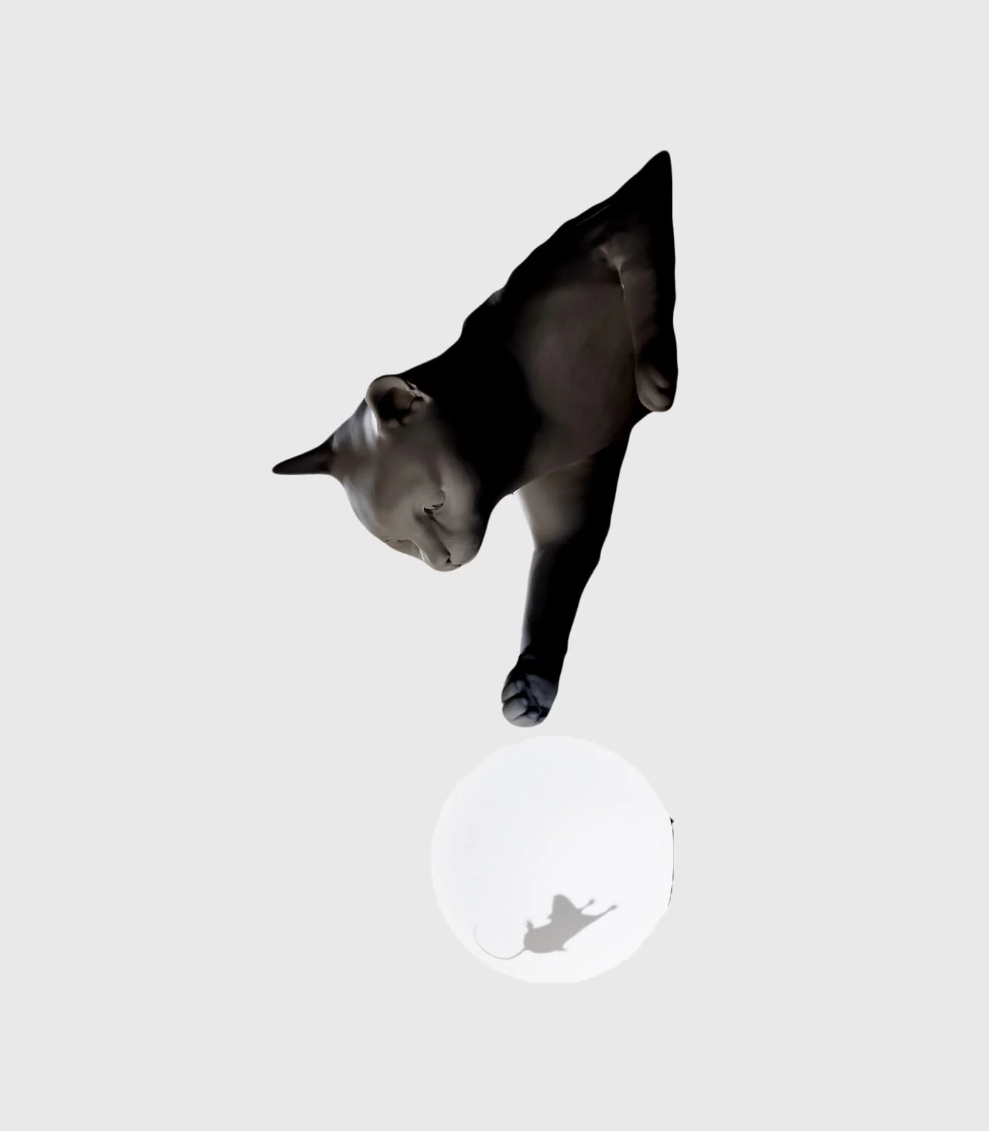 Maoo Wall Light - Image 10