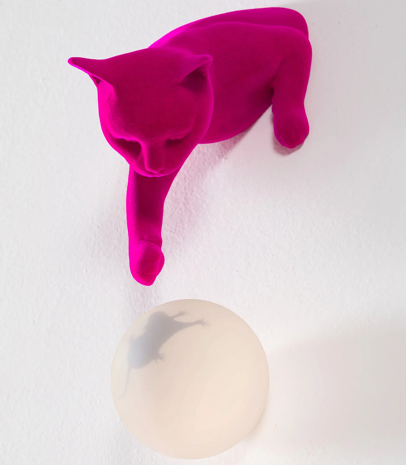 Maoo Wall Light - Image 6