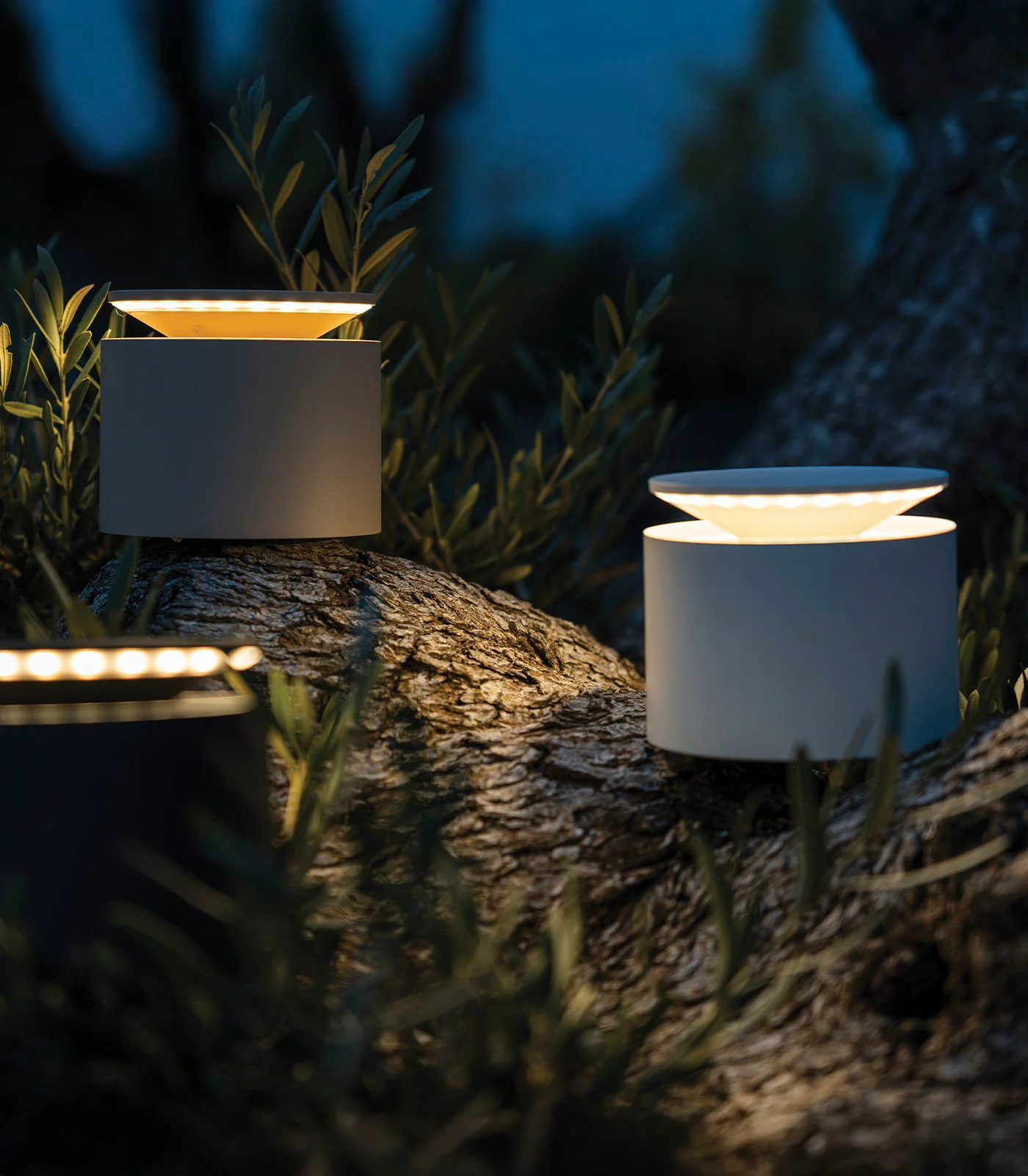 Push-Up Table Lamp - Image 6