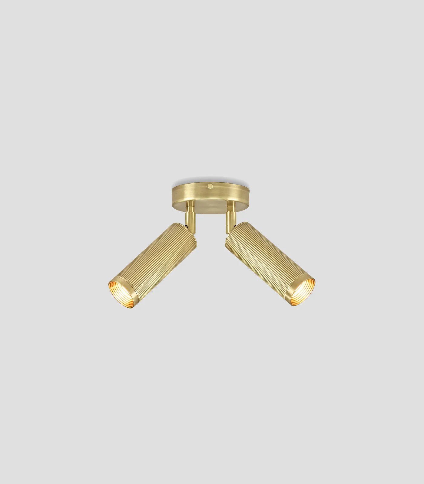 Spot Double Ceiling Light - Image 3