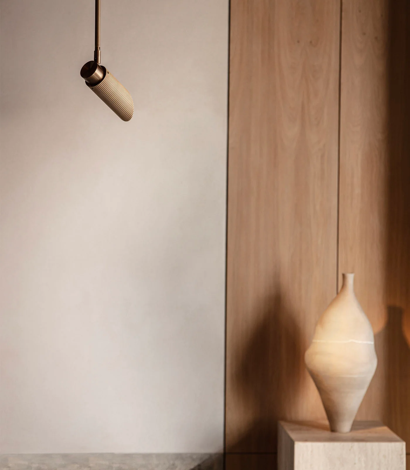 Spot Pro Ceiling Light