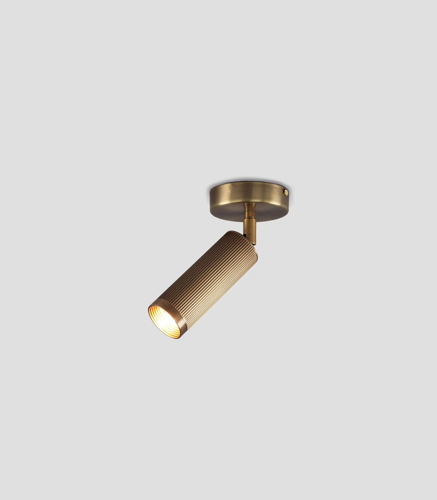 Spot Ceiling Light - Image 2