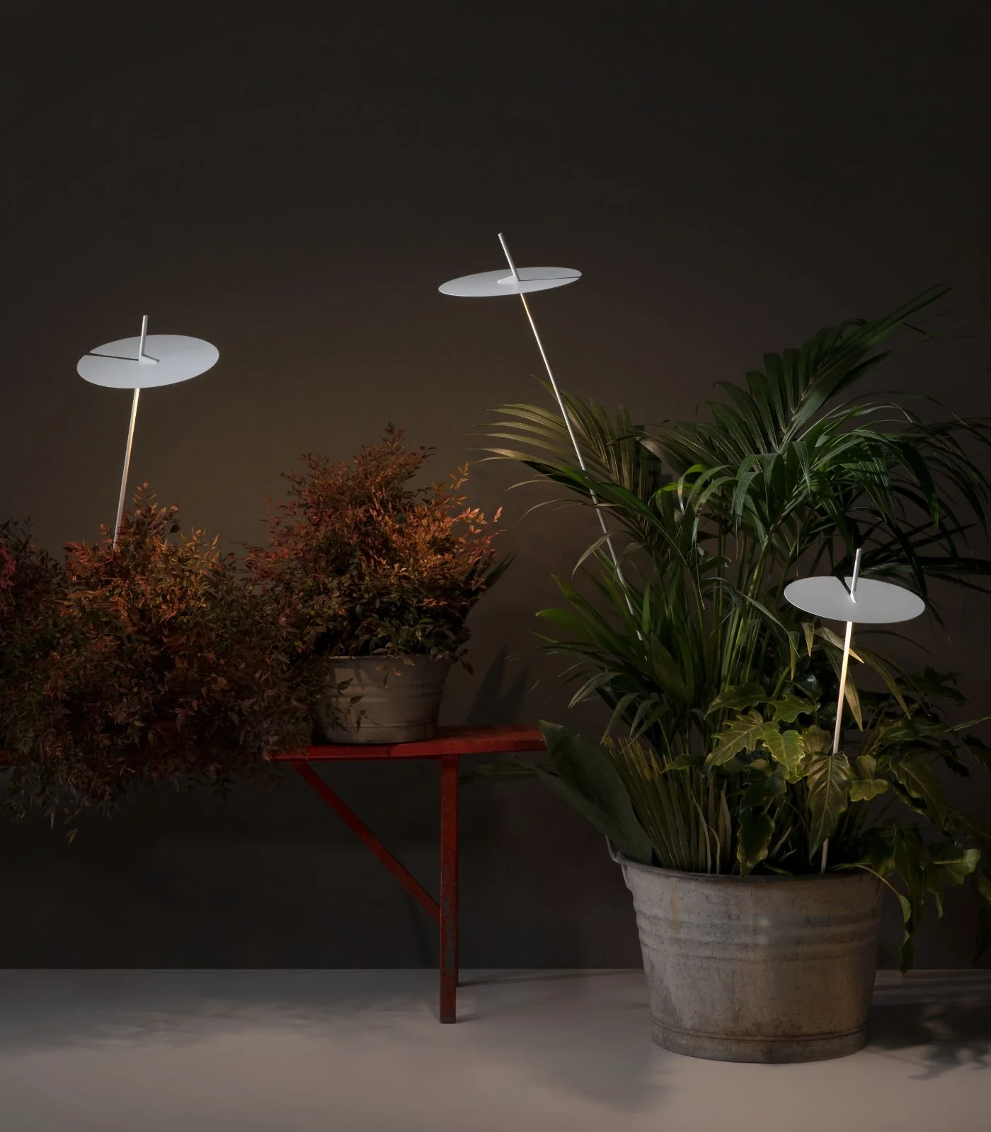 Xana Spike Light - Image 4
